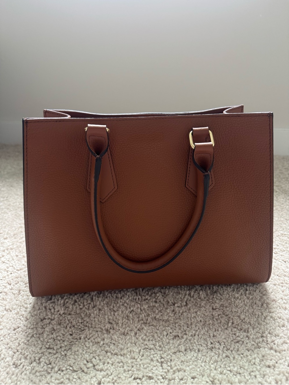 Anna Paola Leather Structured Tote Bag in Brown
